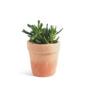 Cache Pot En Laine M - Terracota
