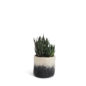 Caches pots en laine - Gris noir S