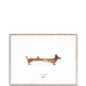 Poster Doug the Dachsund 30 x 40 cms