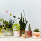 Caches pots en laine - TERRACOTTA S