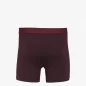 Boxer - Oxblood Red