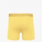 Boxer - Lemon Yellow