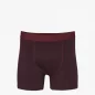 Boxer - Oxblood Red