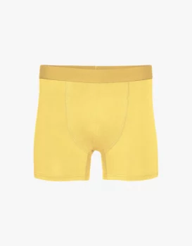 Boxer - lemon yellow