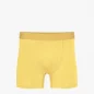 Boxer - Lemon Yellow