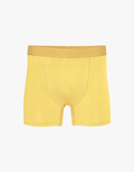 Boxer – Lemon Yellow