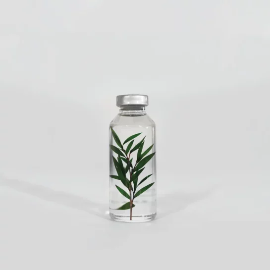 Plante immergée – Melaleuca Alternifolia 30ml