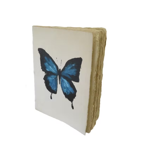 Carnet Insectes A6