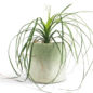 Cache Pot En Laine M - Sage Green