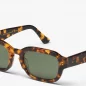 Lunettes De Soleil Classin Havana - Green