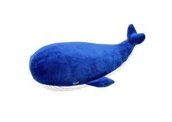 Baleine kanaroa taille l