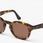 Lunettes De Soleil Classic Havana Brown - Style 12