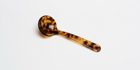 Cuillère à Miel Tortoise