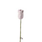 Endless Flower Tulipe Violet