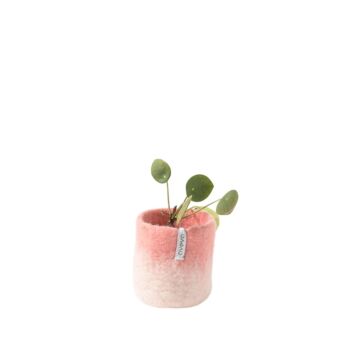Cache pot laine s peche