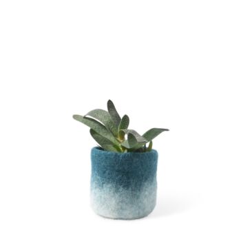 Cache pot laine s petrol