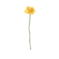 Endless Flower Jonquille Jaune