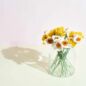 Endless Flower Jonquille Blanche