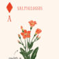 Jeu De Cartes Les Fleurs