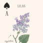 Jeu De Cartes Les Fleurs