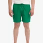 Short Twill Kelly Green