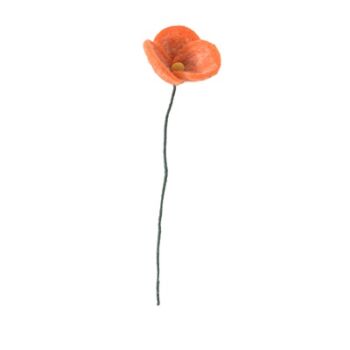 Endless flower coquelicot poppy orange