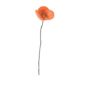 Endless Flower Coquelicot Poppy Orange