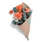 Endless Flower Coquelicot Poppy Orange