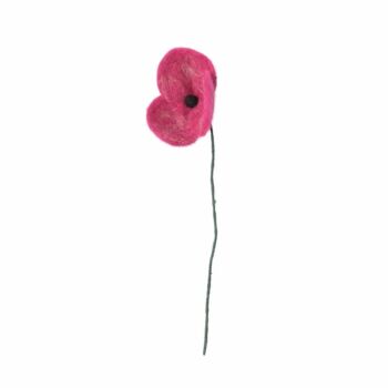 Endless flower coquelicot poppy fuchsia