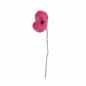 Endless Flower Coquelicot Poppy Fuchsia