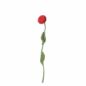 Endless Flower Rose Rouge