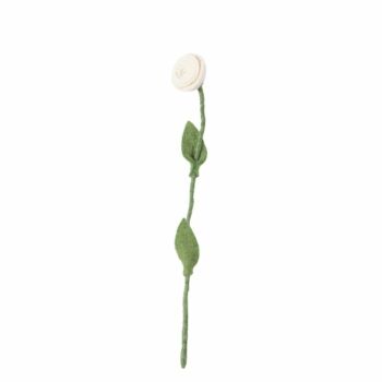 Endless flower rose blanche
