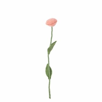 Endless flower rose pêche
