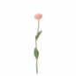 Endless Flower Rose Pêche