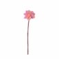 Endless Flower Dahlia Pink