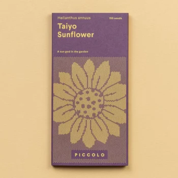 Graines tournesols taiyo