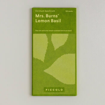 Graine basilic de mrs burns