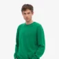 Pull Laine Mérinos Kelly Green