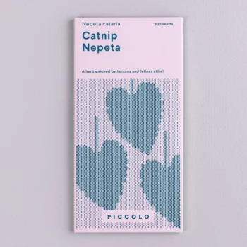 Graine catnip nepeta cataria
